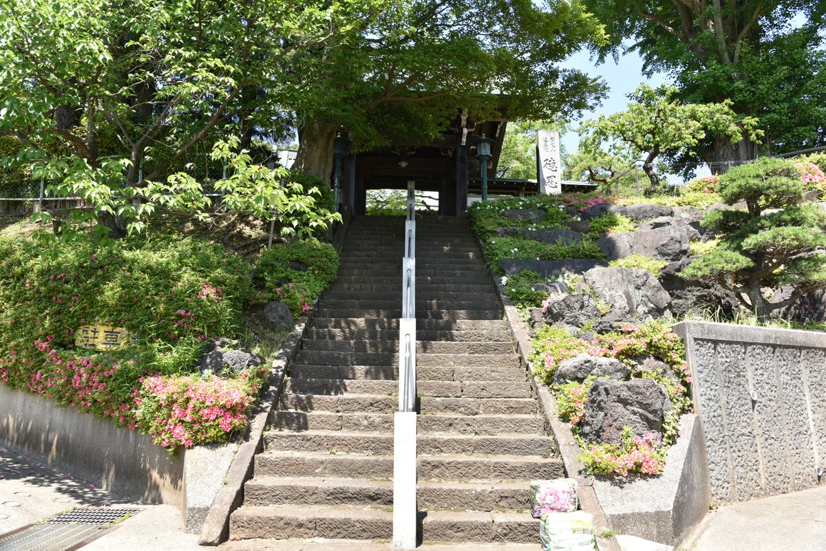 HASHforPro1's tweet photo. 徳恩寺です。
正確には高野山真言宗摩尼山延壽院徳恩寺です。
分燈された広島の原子爆弾の残り火があったのは驚きです。
あと御朱印を頂いた時にお茶とお菓子を頂きました。
暑い日でした���でありがたかったです。
#WITH_HASH
#コロナ対策
#除菌消臭
#HASHforPro
#次亜塩素酸水
#緩衝法 https://t.co/zquOFOY1BY