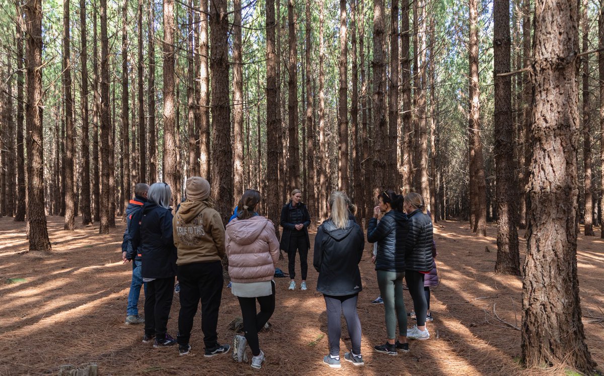 If you haven’t heard of forest bathing and you’re curious to know more, my latest article is a complete guide, featuring step-by-step instructions, research, tips and resources. 
katrinawebb.com.au/the-secrets-of…