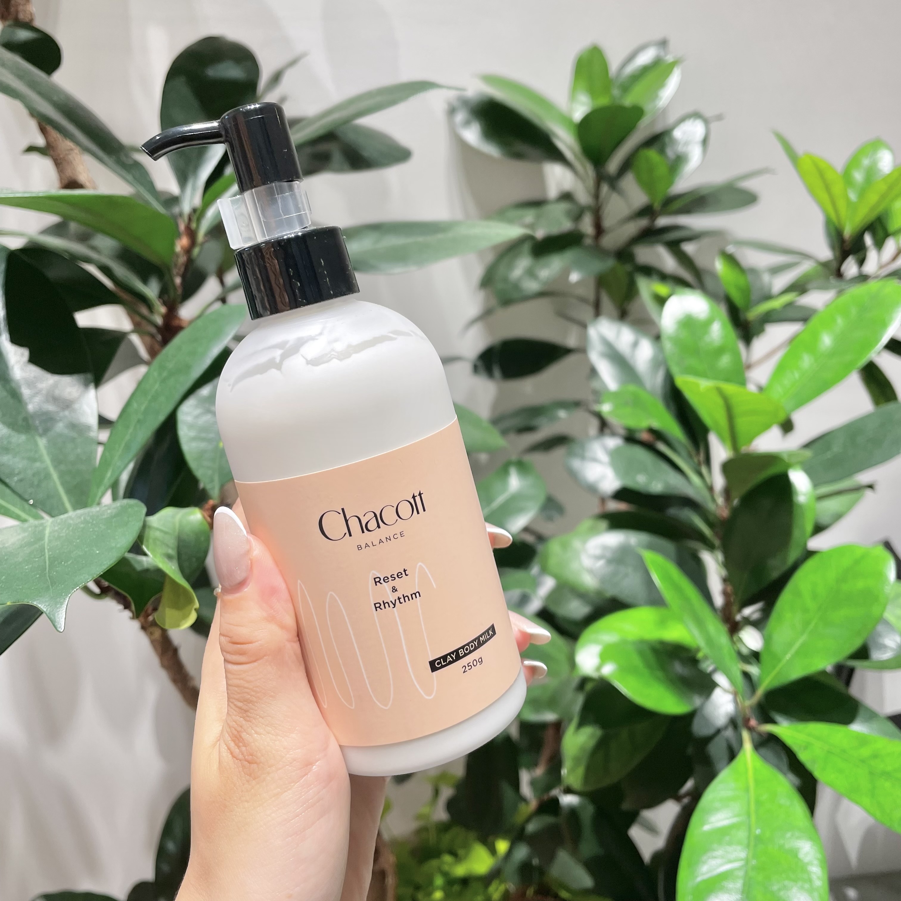 チャコット 代官山本店 Body Milk Amp Bath Pack 夏のお肌のお手入れにおすすめな2点 お風呂で古い角質を落とした後 サラッとしたボディミルクでしっかり保湿 ボディミルクはシミが出来にくい成分入り Chacott チャコット代官山本店 ボディ