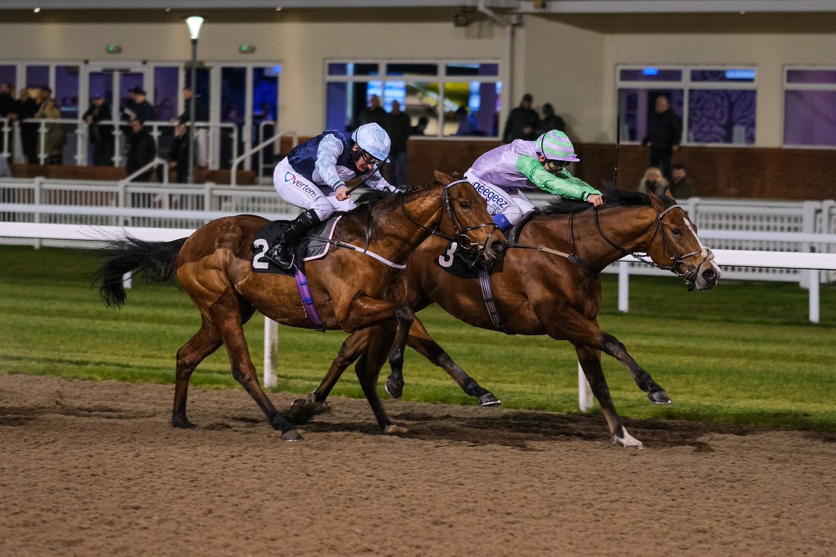 WilliamsStuart's tweet photo. Above races today at Royal Ascot in the Buckingham Palace Stakes at 6:10pm under Marco Ghiani for owners N Boyden And C Harrold. Good luck to all connections and the team 🏇

#TeamDiomed #SWRacing #RoyalAscot https://t.co/pCgGqBOgIP