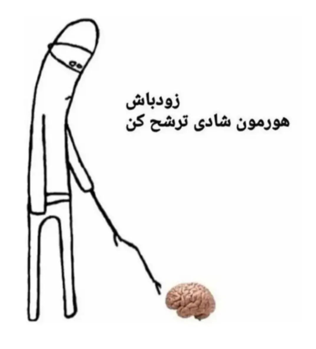 Sa🐮🐑Ra tweet media