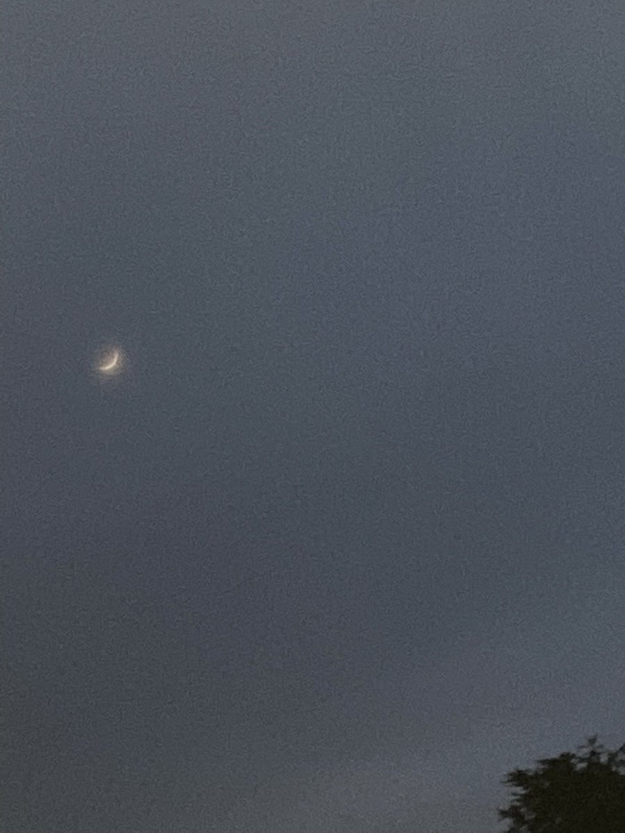 francesco.scaravaggi tweet media