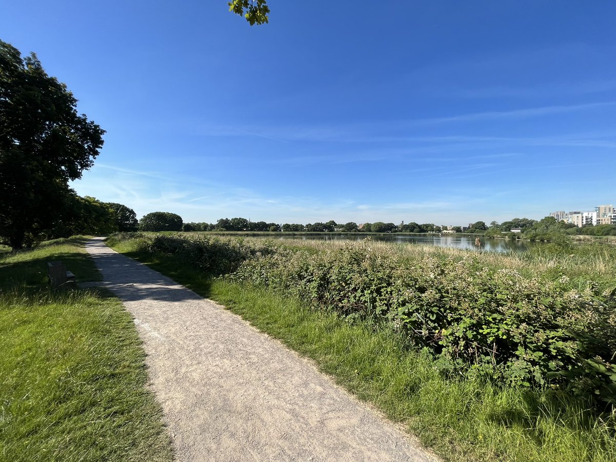 Greetings from Woodberry Wetlands, 10 mins walk from Church Street