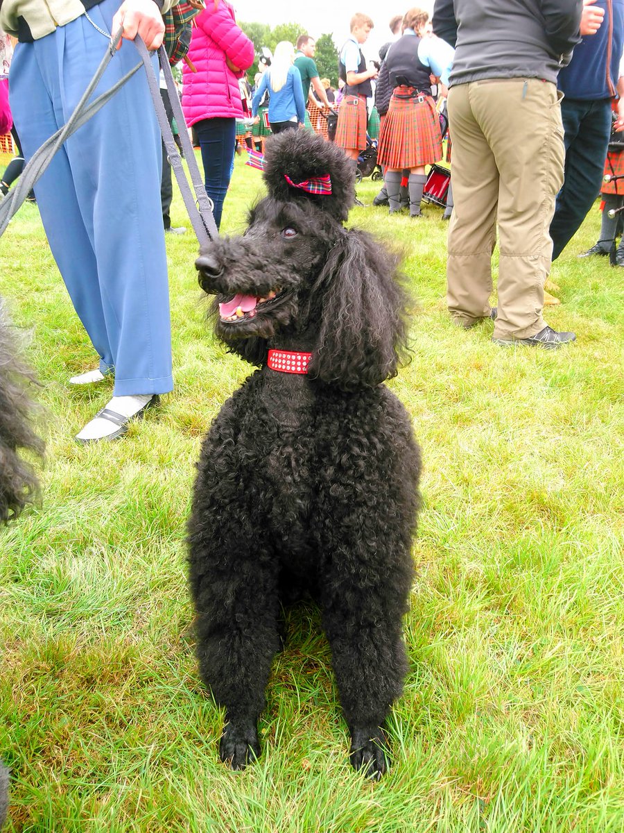 BofA Highland Games tweet media
