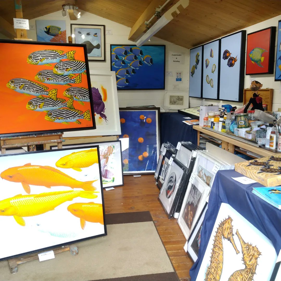 keithsiddleart's tweet photo. The final weekend of @seopenstudios my studio in Langton Green will be open 10am - 5pm, Saturday 18th & 19th June. Here's just part of the display in case you can't make it. #seopenstudios #royaltunbridgewells #langtongreen #langtonlife #somagazines #fish #fishart #seahorses https://t.co/ZcXFnkU8of