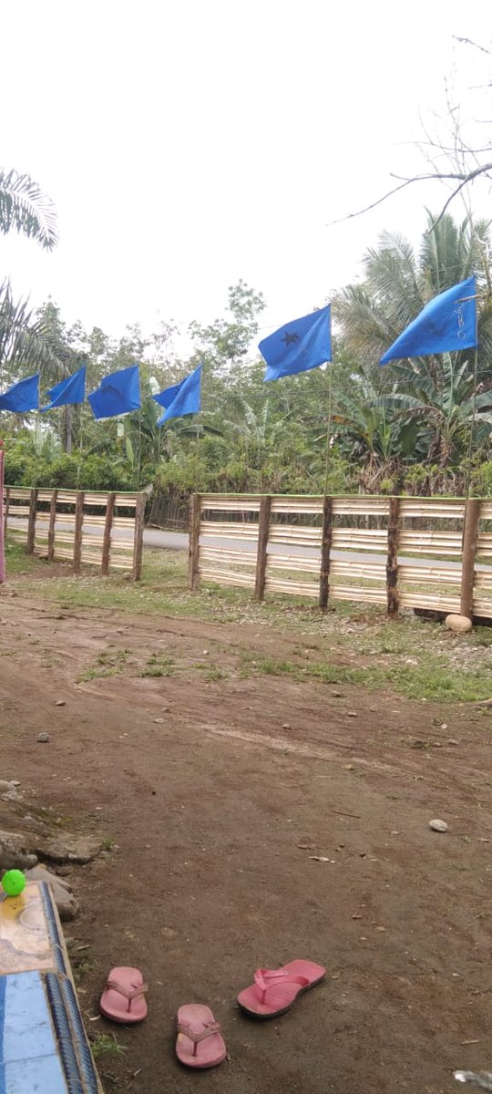 Jakparahmad2's tweet photo. Berkibar dengan gembira, didesa desa di kaur. https://t.co/YxpcbJ3ppC