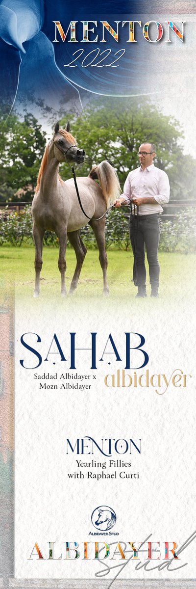ArabianEssence's tweet photo. Mozn's little girl in Menton... 
SAHAB ALBIDAYER (Saddad Albidayer x Mozn Albidayer)

#albidayerstud #menton2022 #mentoncontender #sahabalbidayer #raphaelcurti https://t.co/dZpwePvA2k