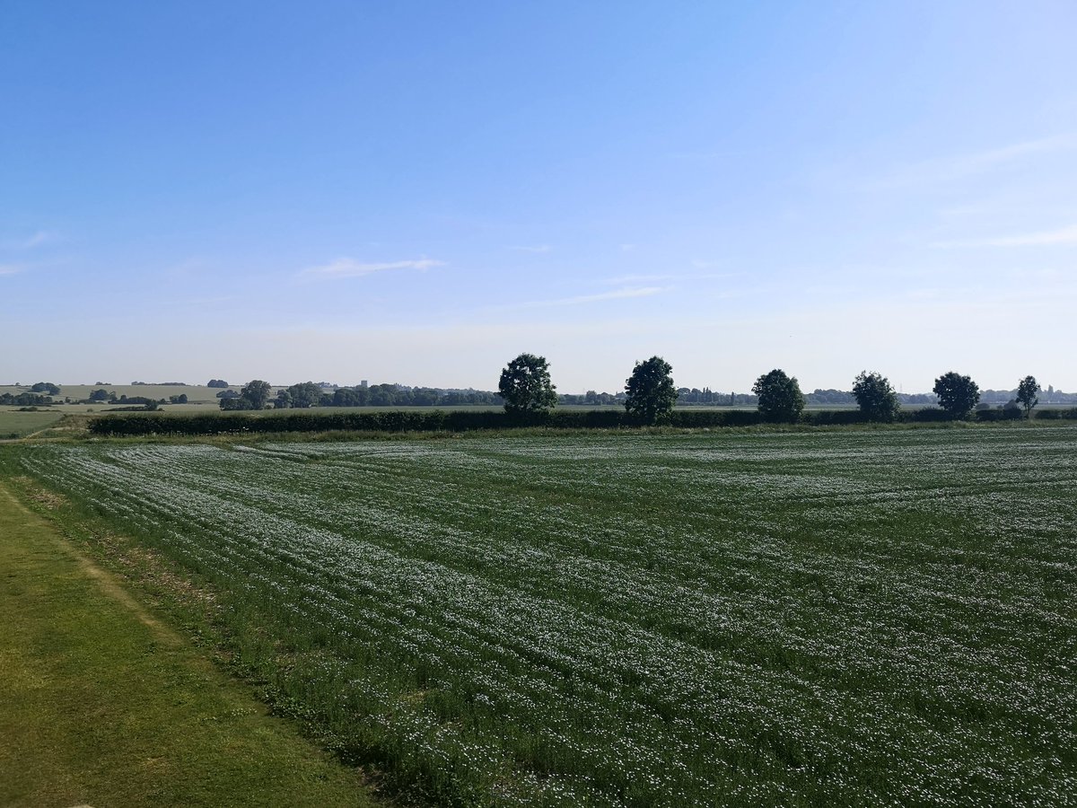 UnipharFrankie's tweet photo. What a gorgeous day! Absolutely love working from the office on a day like this.  @WeAreE4H #roomwithaview https://t.co/9f1qHkZ7YL