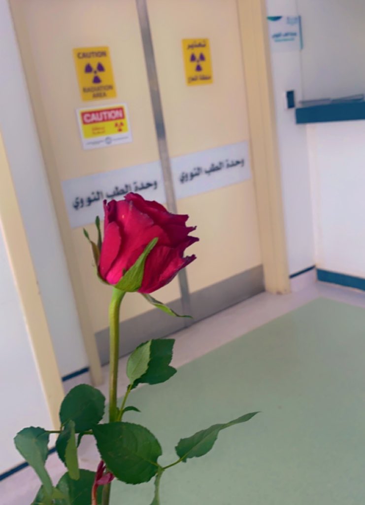 كان عندي أشعة و الممرضات لطيفات جداً لما خلصت أدوني وردة🥺♥️
حاجة بسيطة لكن فرحتني شديد🤍