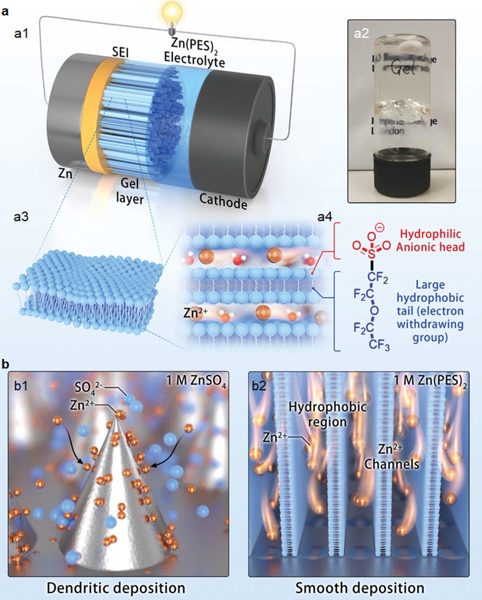 ICBillyWu's tweet photo. Our paper in Advanced Functional Materials on "Biomimetic Lipid-Bilayer Anode Protection for Long Lifetime Aqueous Zinc-Metal Batteries" is out! Led by Yan Zhao+@huizhi_wang, with a team of fantastic collaborators! Check it out #battchat 🔋 @Jin_Xuan_
https://t.co/GkNacZgzOq https://t.co/cPb4OaYXf8