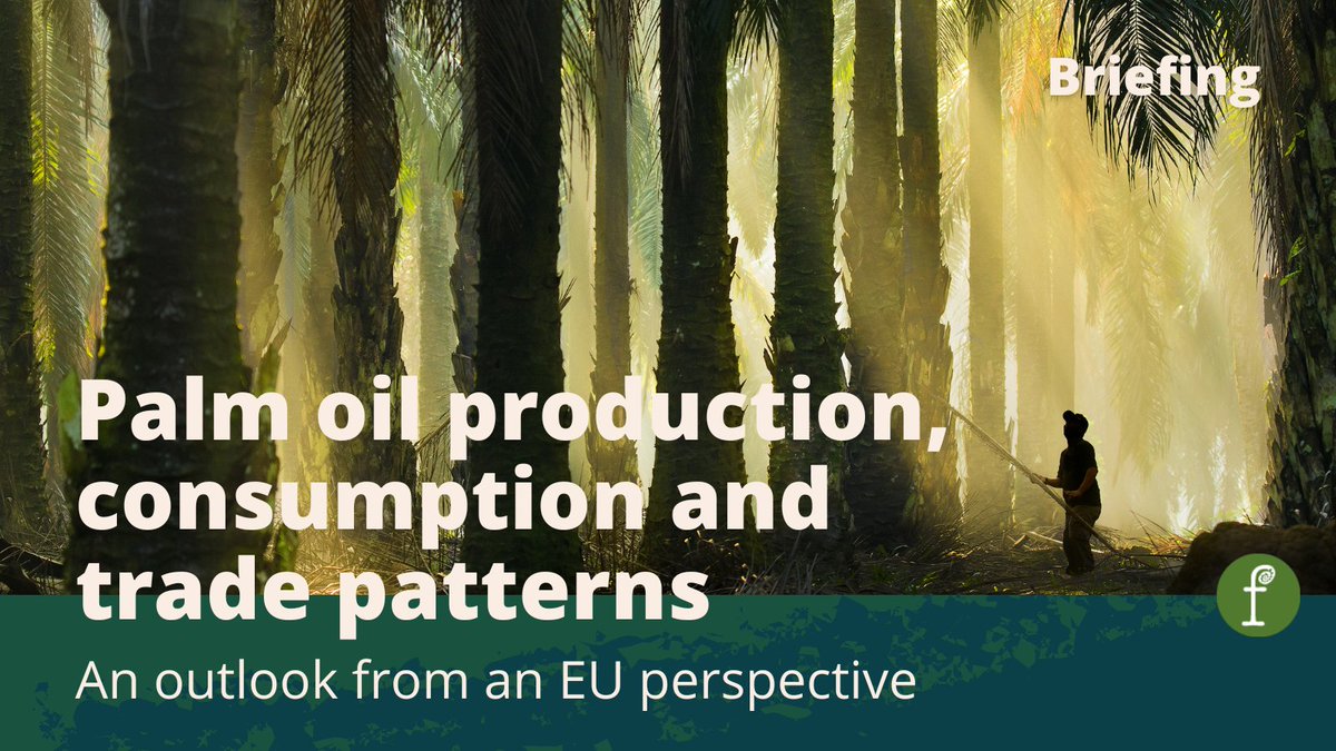 Fern_NGO's tweet photo. In the spring of 2022, #PalmOil prices rose dramatically, many fear that if the price remains high, #deforestation rates may rise.

Our new briefing discusses the outlook for palm oil production in countries like #Indonesia and #Malaysia.

https://t.co/LDYWnsUoPv https://t.co/uSe7sBT7gR