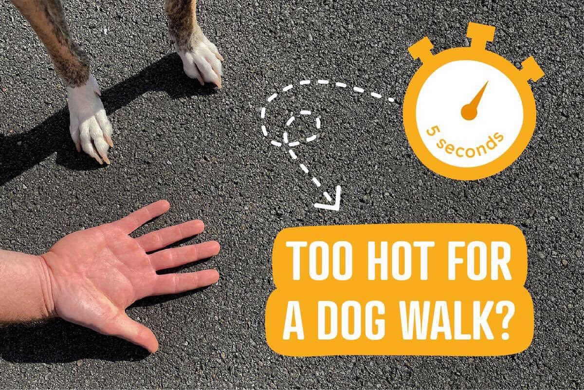 Use the 5 second rule - too hot for your hand means it’s way too hot for your dog #HotPavement