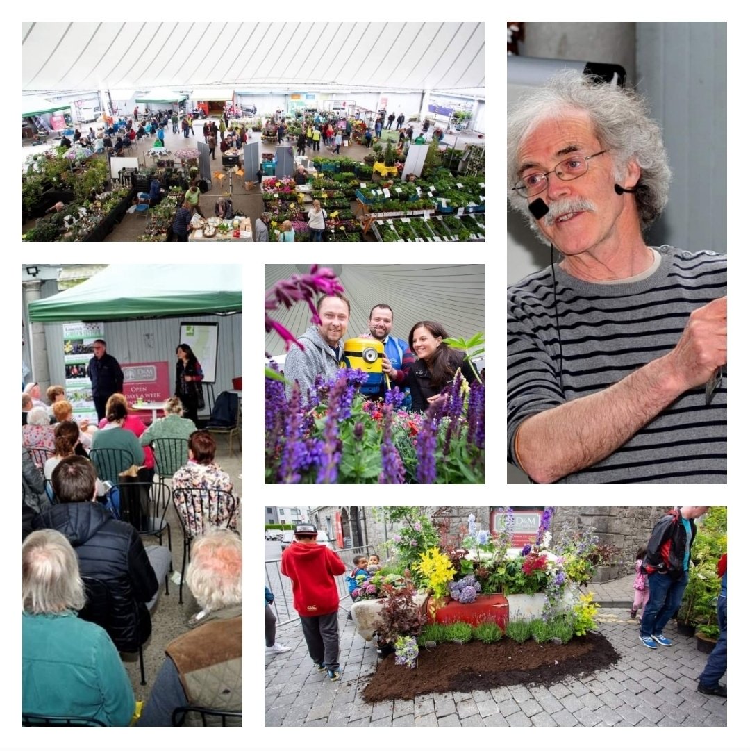 3 Days to go.  #LimerickGardenFestival
See you at the Milk Market on Sunday 19th June.. Our website for future details 🙂 limerickgardenfestival.com
🪴🌷💐🌳🌵🌿
#LimerickMilkMarket #GardenFest
#Limerick #GatewayCity #WildAtlanticWay
#LimerickEdgeEmbrace