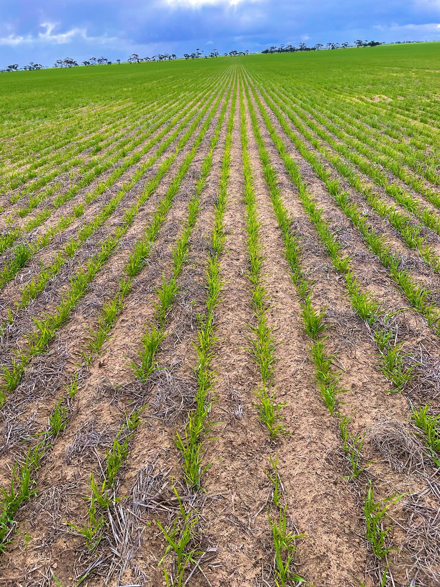 Matt Witney tweet media