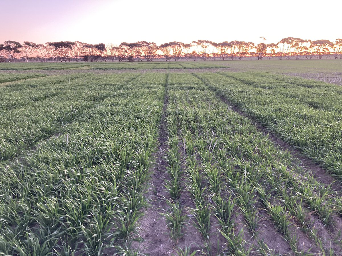 Kenton Porker tweet media