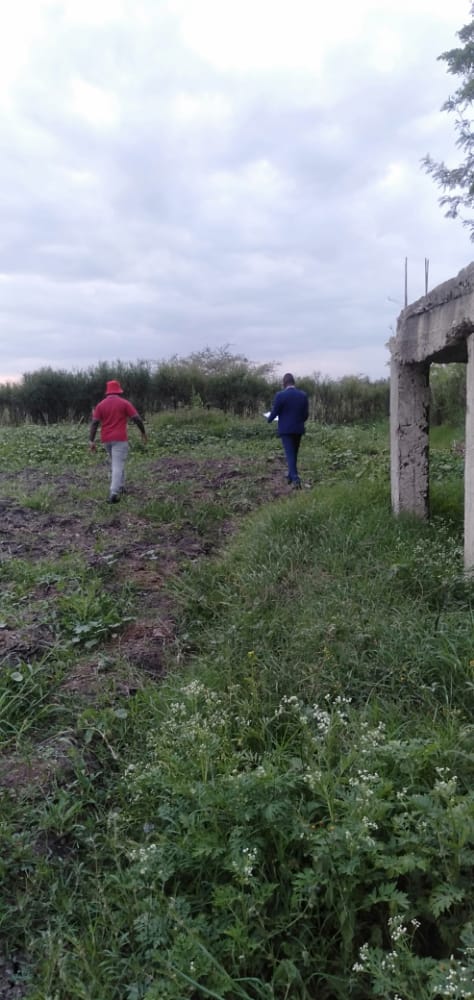 Feliste46017683's tweet photo. Title deed already at Lulu Estate phase 2 at Juja Farm.
Get a 50*100 prime plot at Juja farm with just only 700,000 cash offer.
Book a plot with only 230,000 and clear the balance in 10 months installments @ 850,000.
Site visits everyday from mon_Sat at 10.00 am https://t.co/GE71jrOCCb