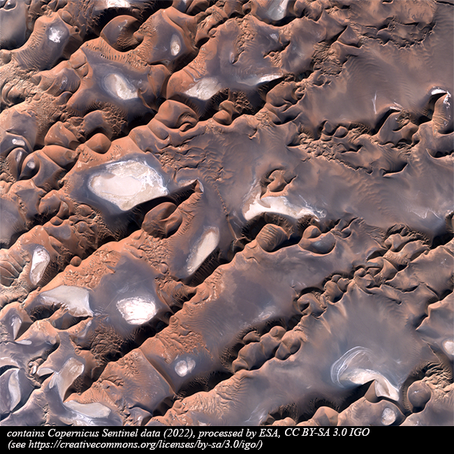 #DashteLut, #Iran
Known as the "Emptiness Plain" for the Iranian people, the #LutDesert is made of stone, sand, salt and wind forming #ravines, #sinkholes and 300mt #highdunes. #Ridges and #furrows of #volcanicrocks and salt spots feature this 2022 #Copernicus #Sentinel2 image.