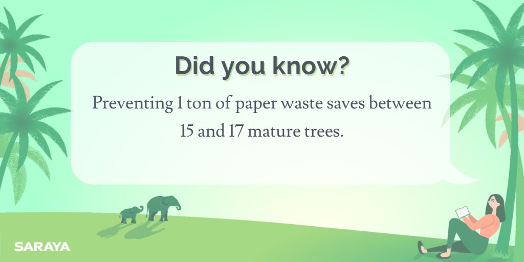 #SarayaTIL #tils #TIL #Facts #Paper #trees