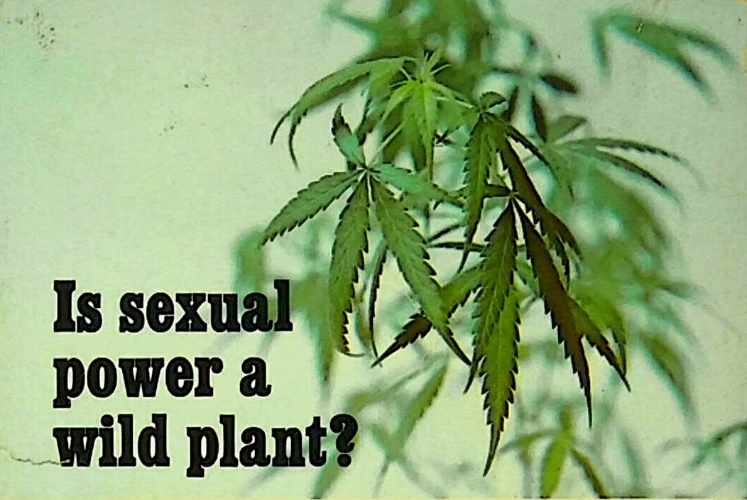En 1970, Barbara Lewis publicó “El poder sexual de la #marihuana”, el primer estudio del vínculo entre el #cannabis y el sexo, que destaca la ayuda sexual que la marihuana puede ofrecer. Puedes leer el libro aquí: openlibrary.org/books/OL445487….
#SexualidadMW #MuseumWeek