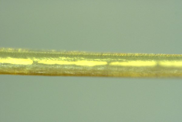 TheKeeper46's tweet photo. 💣🔥🔬Des #échantillons de #caillots de #sang de l'embaumeur réputé Richard #Hirschman, il confirme qu’il ne s’agit pas d’éléments de vaisseaux sanguins ou de tissus d’aucune sorte. Les structures ci dessous prises en photo lors de procédures d’ #embaumement ont été.. https://t.co/PkVykLHcuW