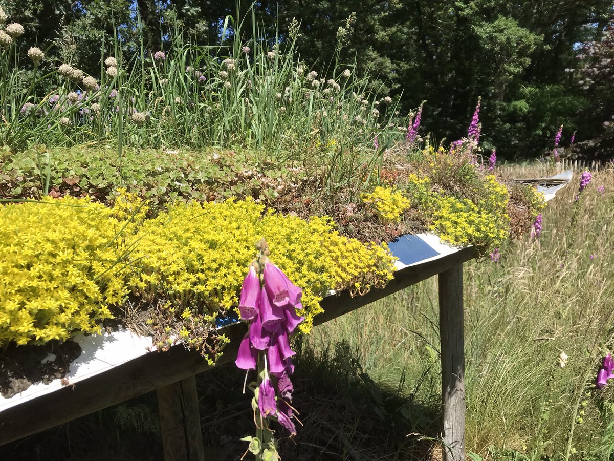 HermansHoning's tweet photo. #Hittegolf #klimaatverandering #GroeneGevels #Wadi Bouwen voor de toekomst **Kleinzoon gaat studeren Hogeschool Utrecht Building environment** misschien hebben deze groene bouwwerken van opa hem geรฏnspireerd๐ฌ๐๐ https://t.co/yJPtITwCCo