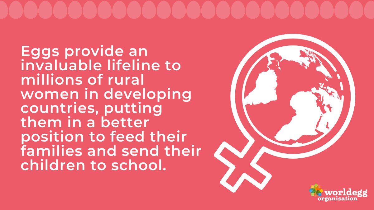 WorldEggOrg's tweet photo. Eggs aren't just nutritionally powerful and super tasty - they also serve as an invaluable lifeline for rural women and their families around the world! 🥚👩🌾🌍
#EggsForAll #PerfectPackage #Eggs #WomenInAgriculture https://t.co/GKgyZvzffw
