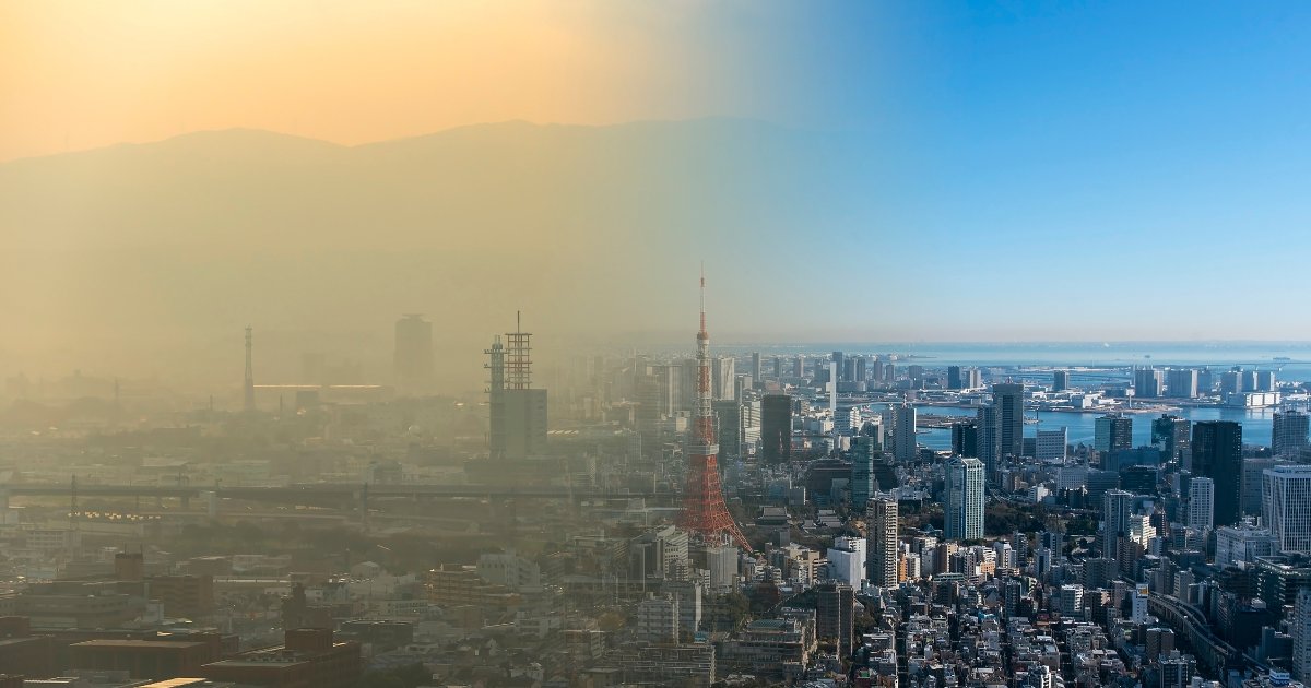 Thanks to the generous support of @mccallmacbain and @cleanairfund, @unibirmingham has launched the McCall MacBain Clean Air Fellowship, developing the next generation of leaders for the clean air movement. @cleanairdayuk #CleanAirDay #BirminghamAction birmingham.ac.uk/caf