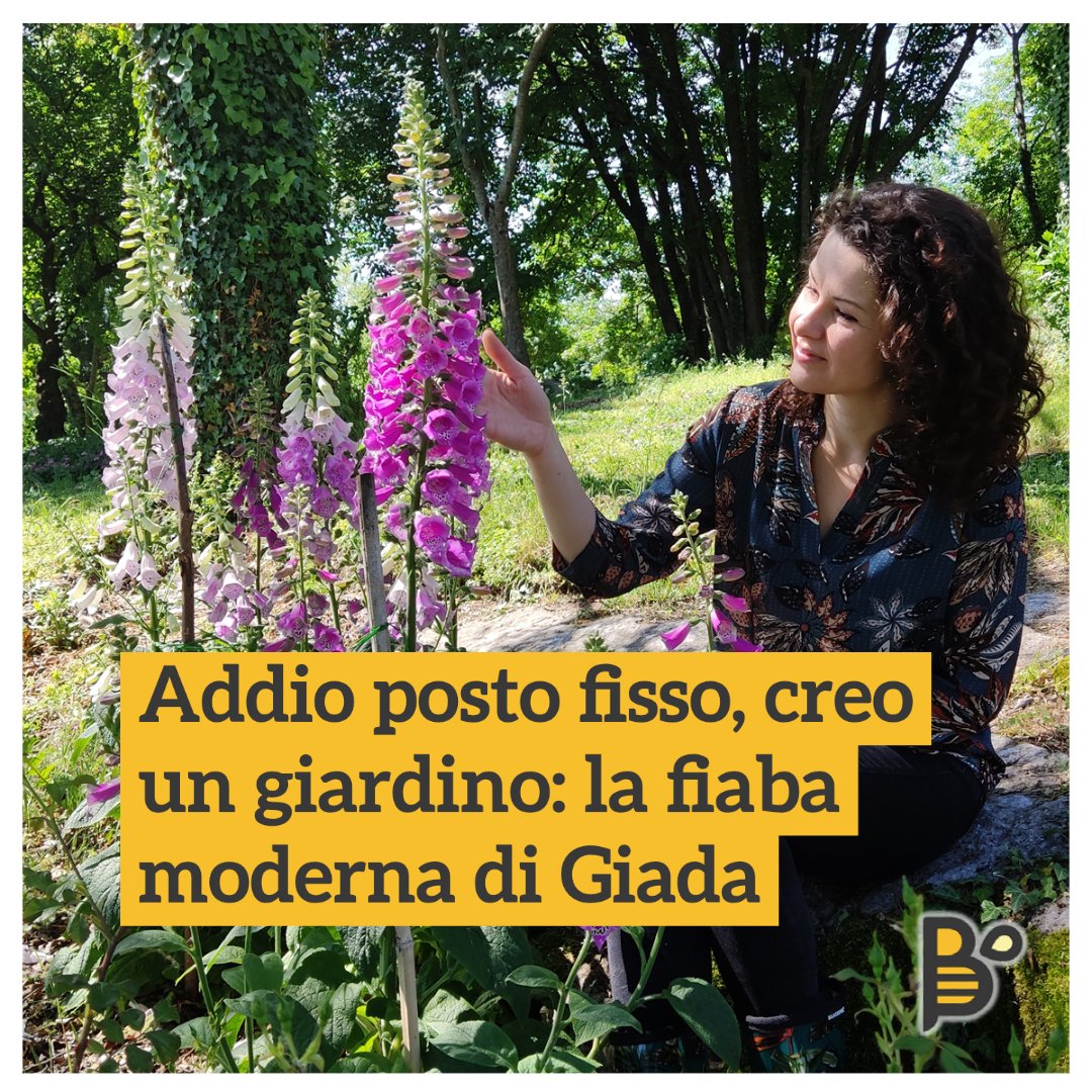 Lasciare il “posto fisso”, dimenticarsi dello stress e dedicarsi al sogno di costruire un #giardino. Potrebbe essere la trama di una fiaba moderna, se non fosse realmente la storia di Giada.
Leggi l'ultimo articolo sul nostro Blog! 👉 blog.planbee.bz/lasciare-il-po…