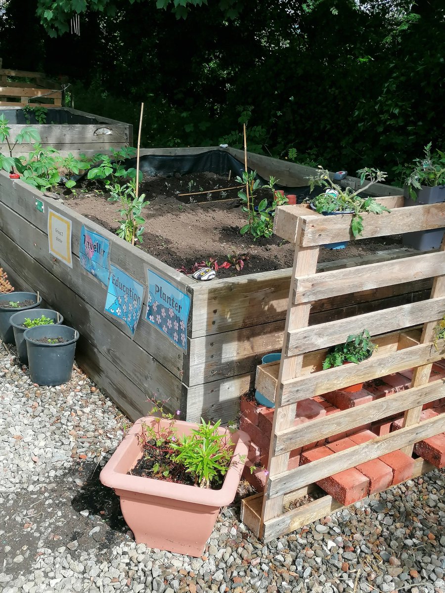 TES Torfaen tweet media