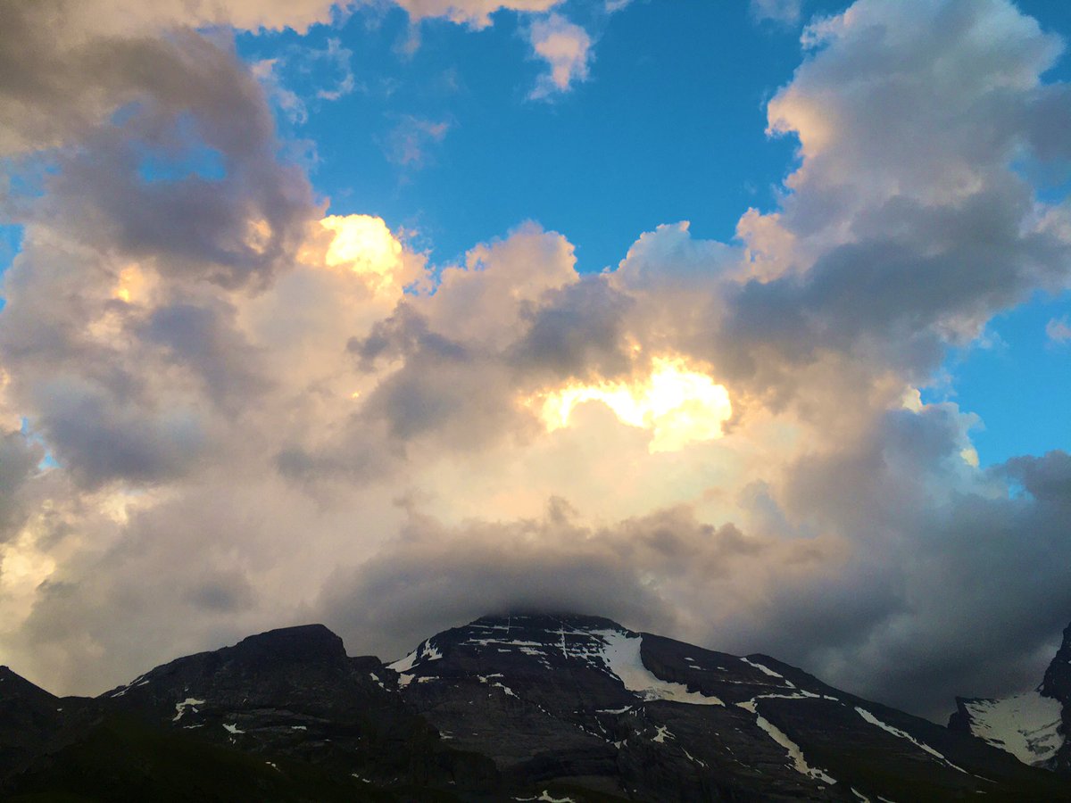 Get Creative tweet media