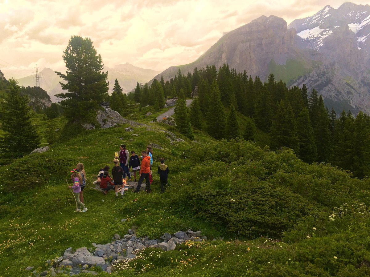 Get Creative tweet media