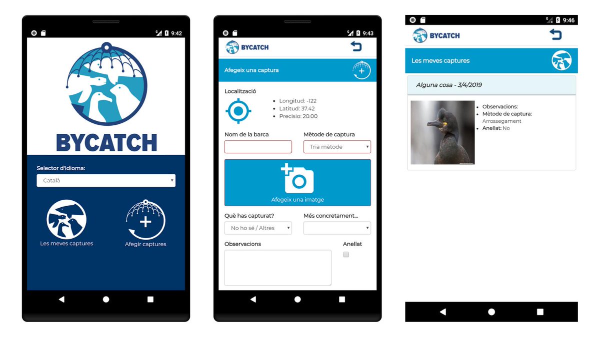 ceabcsic's tweet photo. #CEABPress
Neix 'Bycatch': una nova app per estudiar les captures accidentals en arts de pesca. La iniciativa ha estat impulsada per la investigadora @meritxellgeno del #CEAB juntament amb @SEO_BirdLife
Més info 👉https://t.co/5qOu9HcHw4 https://t.co/Il29C2gyub