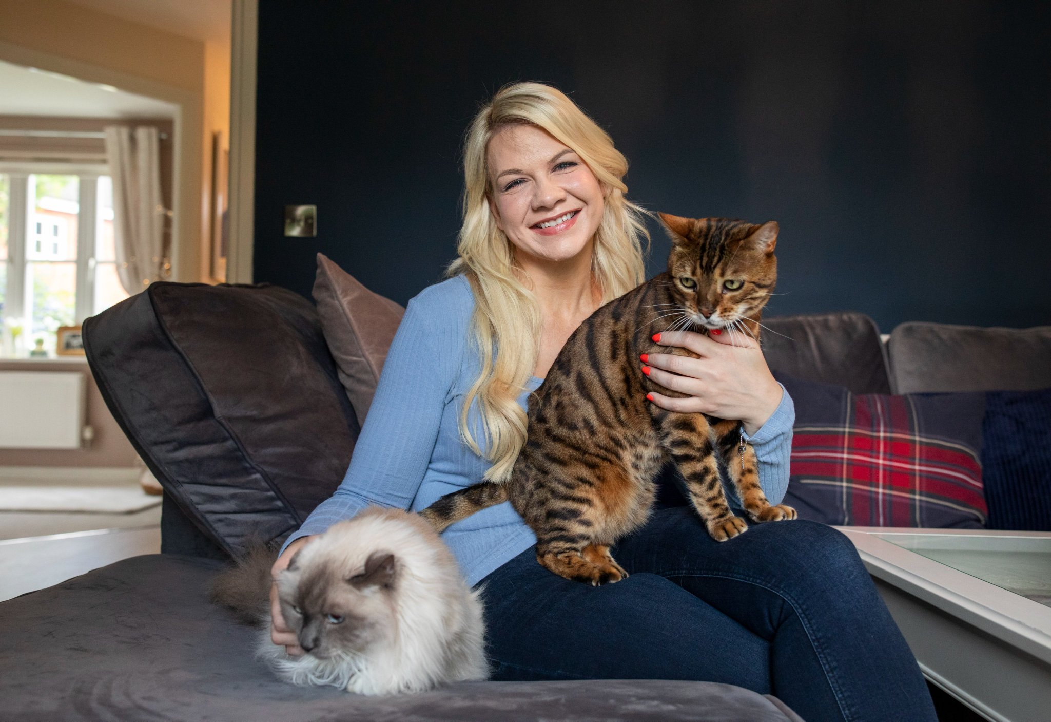 The Telegraph on Twitter "🐈‍⬛🐕Tenants will soon have a legal right to