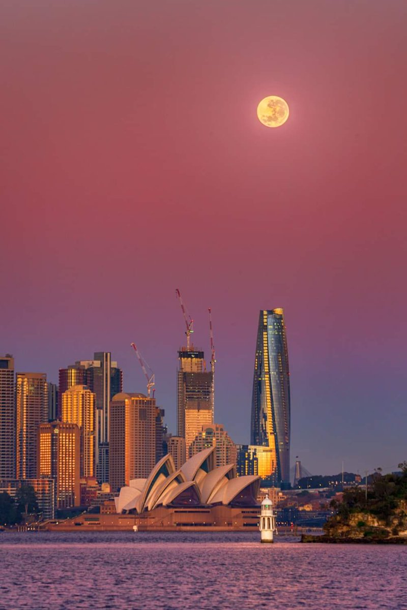 NarratorNicole's tweet photo. Sometimes it is about viewing a natural event with a different perspective. While half of #Sydney shooters flood the city to shoot the moonrise on (Tuesday) sunset, I decided to go against the grain to shoot the moonset at (Wednesday) sunrise. What do you think? https://t.co/Hq5NShSAgt