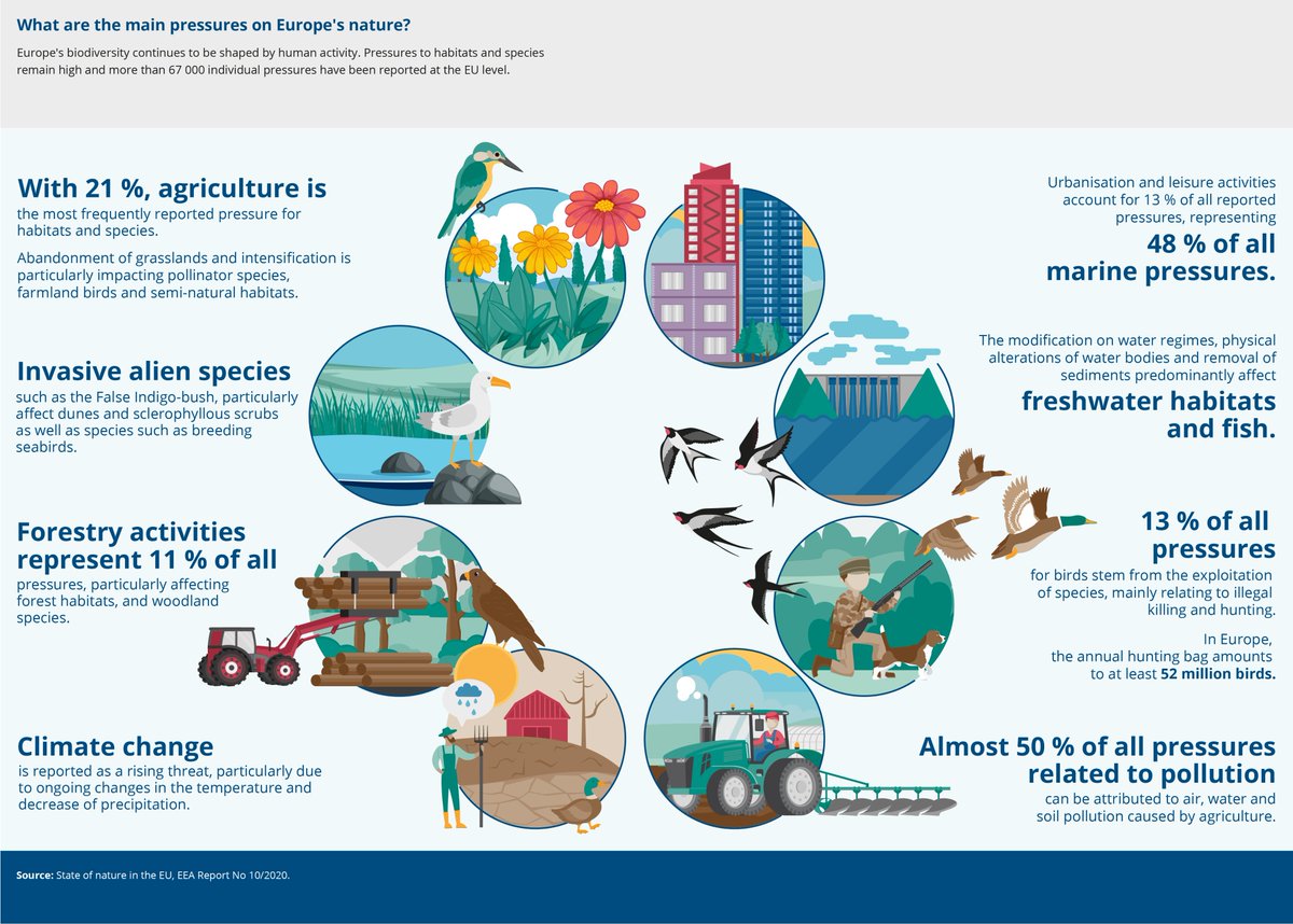 Europe’s biodiversity continues to be shaped by human activity. Pressures on habitats and species remain high and are expected to impact habitat quality and ecosystem condition.🌿🦜 What are the main pressures on nature in Europe? Find out in the infographic from @EUEnvironment