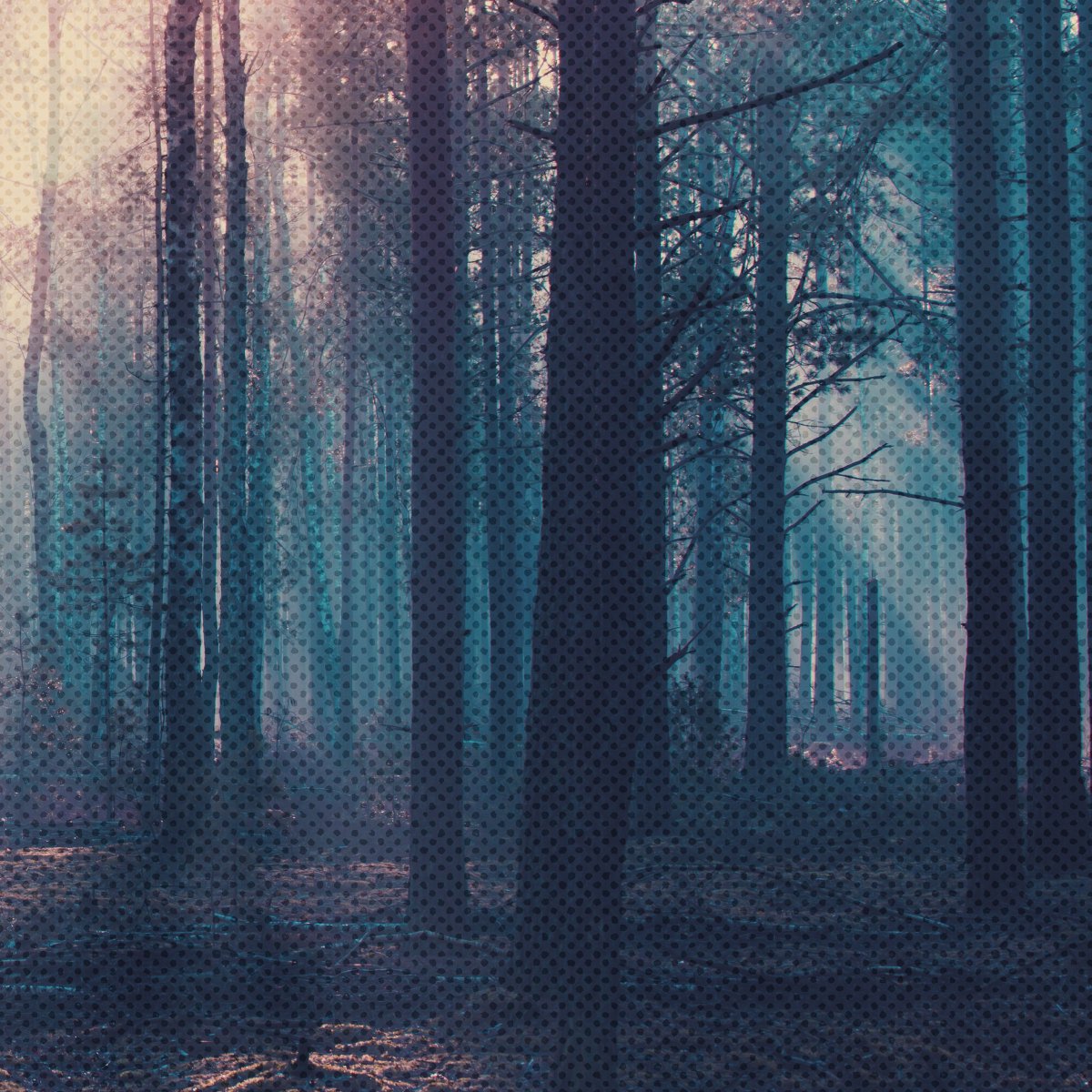 TezosFarmation's tweet image. Added "woodland" background on Github
As we look to find our way out of the woods
Use anything there to produce your own collection
github.com/TezosFarmation…
We will be releasing 1 background each day for the rest of the month
#TFNFT #CleanNFT #tezos #NFTArtist #NFTCollectors