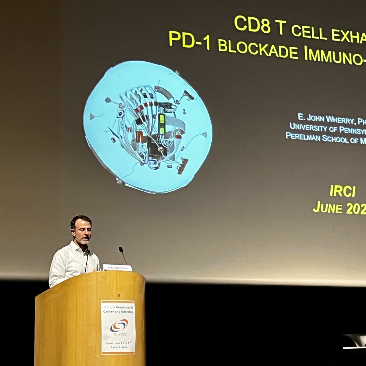 eballestar's tweet photo. Inspiring talk by @EJohnWherry on
#CD8Tcell #exhaustion #PD1Blockade
& #Epigenetics #IRCI2022 https://t.co/RRgwFe5Od8