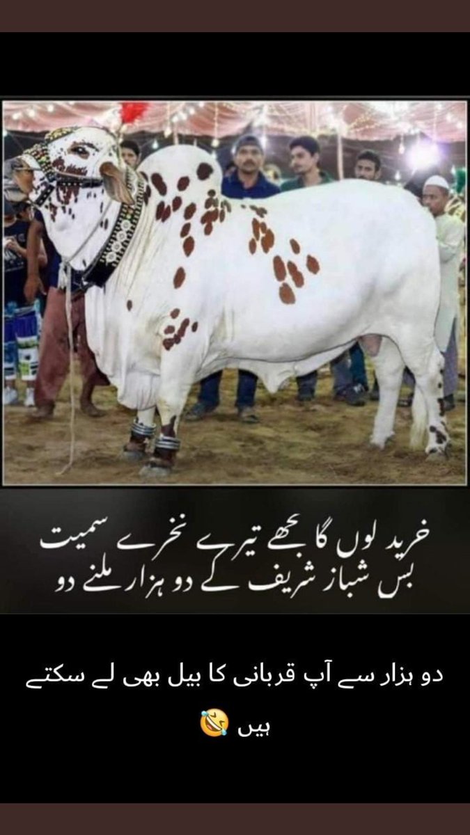 RealKinzaKhan's tweet photo. @295c__ https://t.co/CGzjWSHa4s