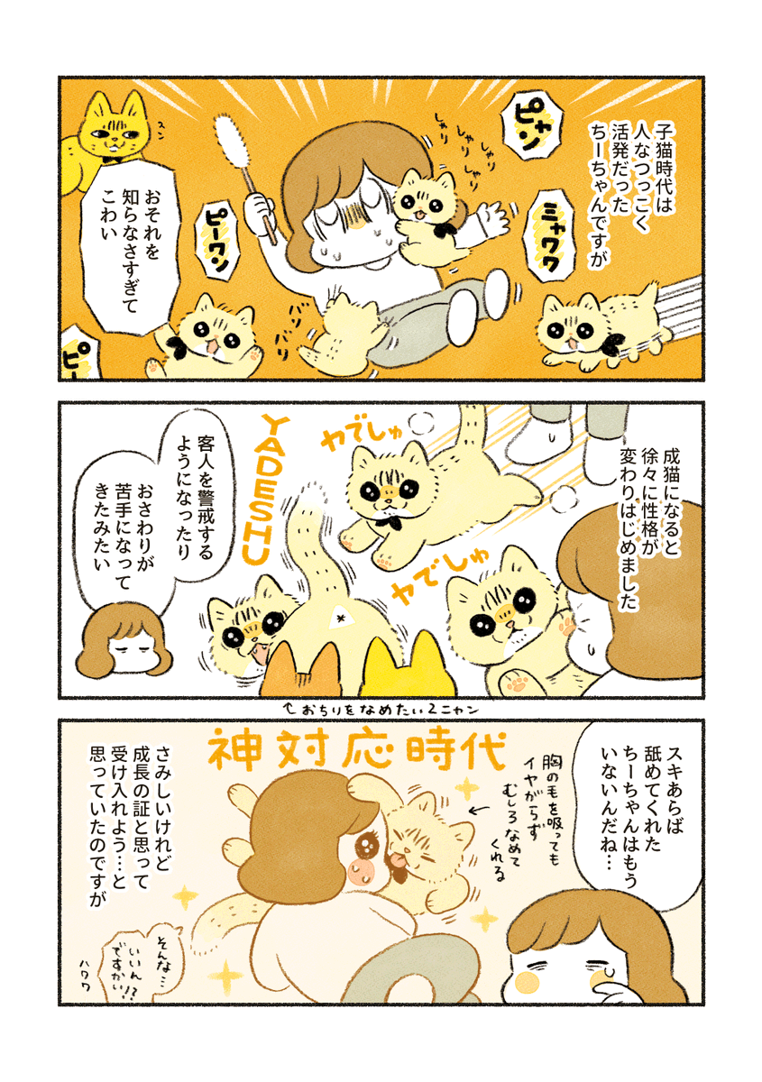 ちーちゃんのおさわりルール 