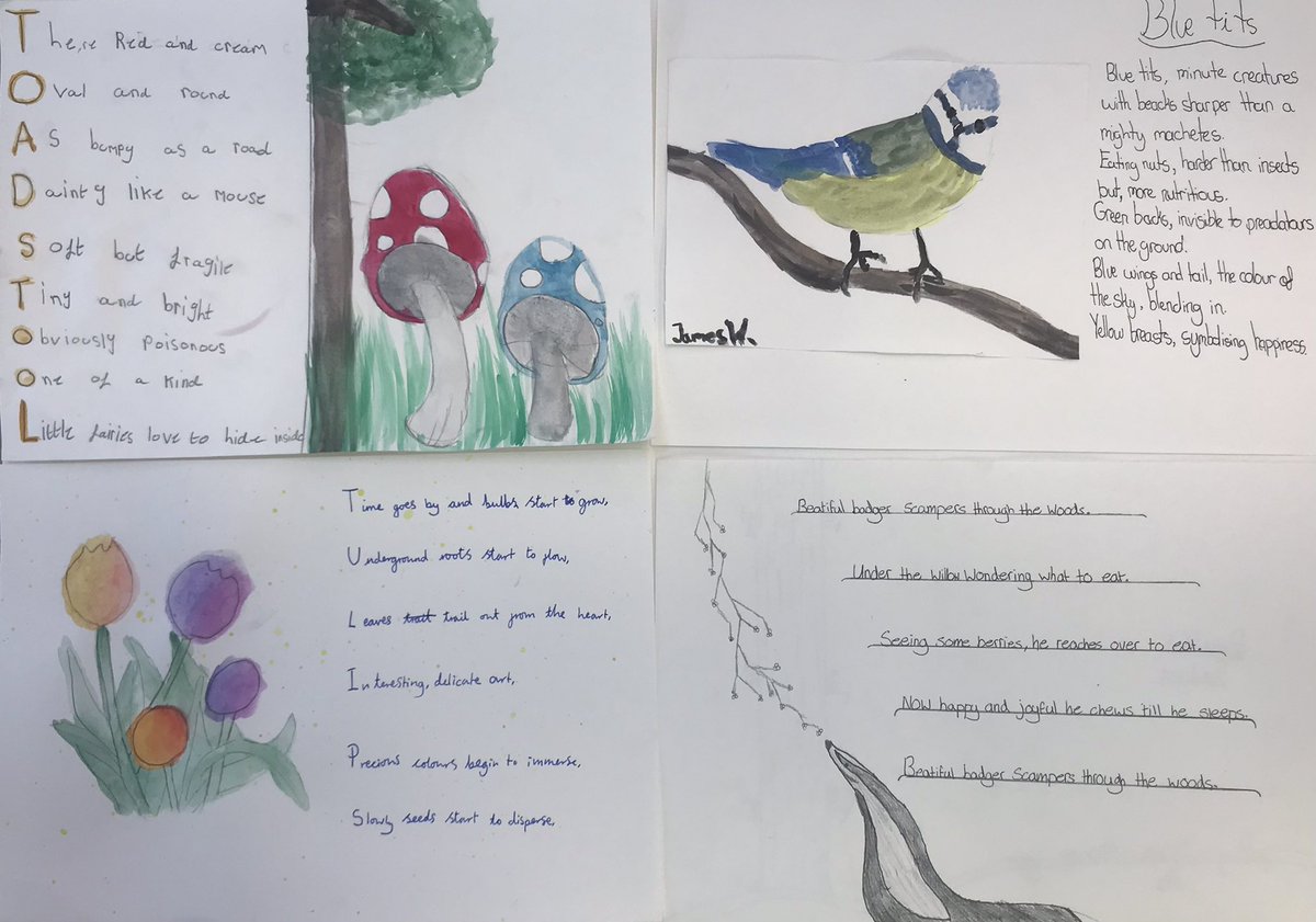 CastleCourtArt's tweet photo. Wonderful collaboration with the English department this week for our Poetry and Illustration workshop. Appreciating the British countryside and illustrated book ‘Lost Words’ by @RobGMacfarlane and #jackiemorris @CastleCourtPrep #ccscreative #ccscollaborative https://t.co/MrgkNwSMl3
