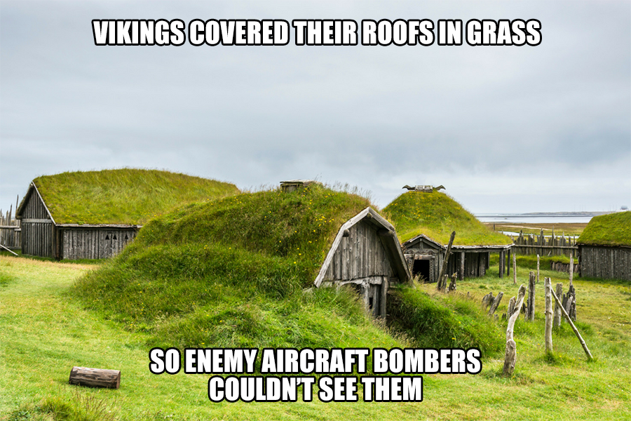 ForValhallaNFT's tweet photo. Viking memes will never get old #ForValhallaNFT #FVNFT #Layer2 #Eth #GameStopNFT https://t.co/a1W9ogmX4S