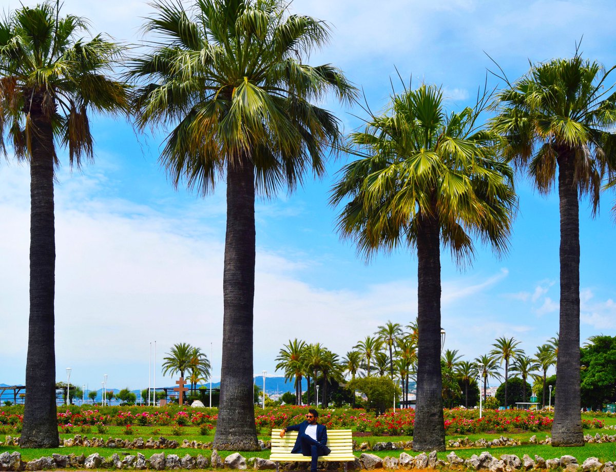 Encyclopedia of Colorful Getaways (Ismaïl Alsaïdi) tweet media