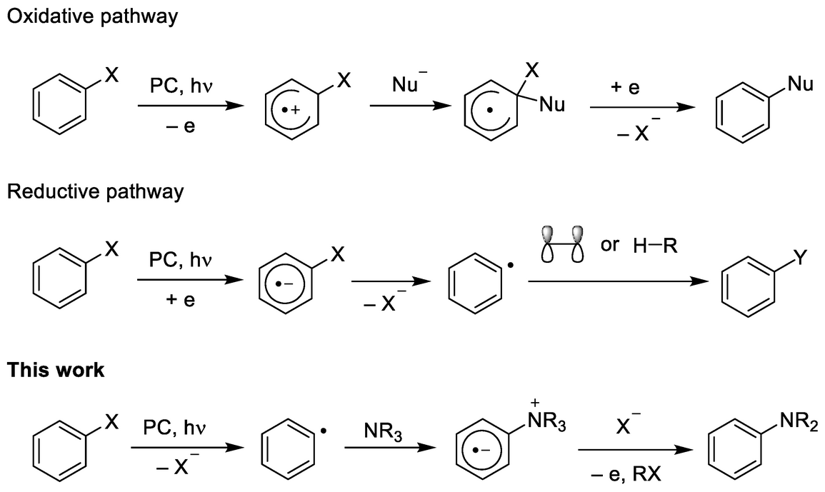 Molecules_MDPI's tweet photo. #RecommendedPaper #InterestingPaper
Photoredox Catalyzed Dealkylative Aromatic Halogen Substitution with Tertiary Amines
By: Alexander D. Dilman, et al.
👉https://t.co/kprc9eAr9l
📌#aromatic #substitution #tertiaryamines #photoredox #catalysis #radicalreactions https://t.co/w0yfm8iQ8d