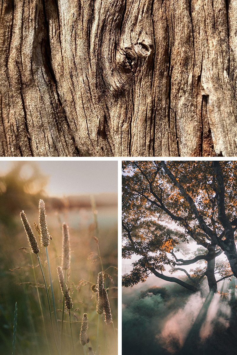 Introducing 𝗡𝗮𝘁𝘂𝗿𝗲, one of the three new collections in the CRAFT by Kährs range, featuring seven floors in vibrant colours. With visible knots and cracks, the designs imitate the look of lively wood grading floors.

Discover the Nature Collection: kahrs.com/en-gb/kahrs-lu…