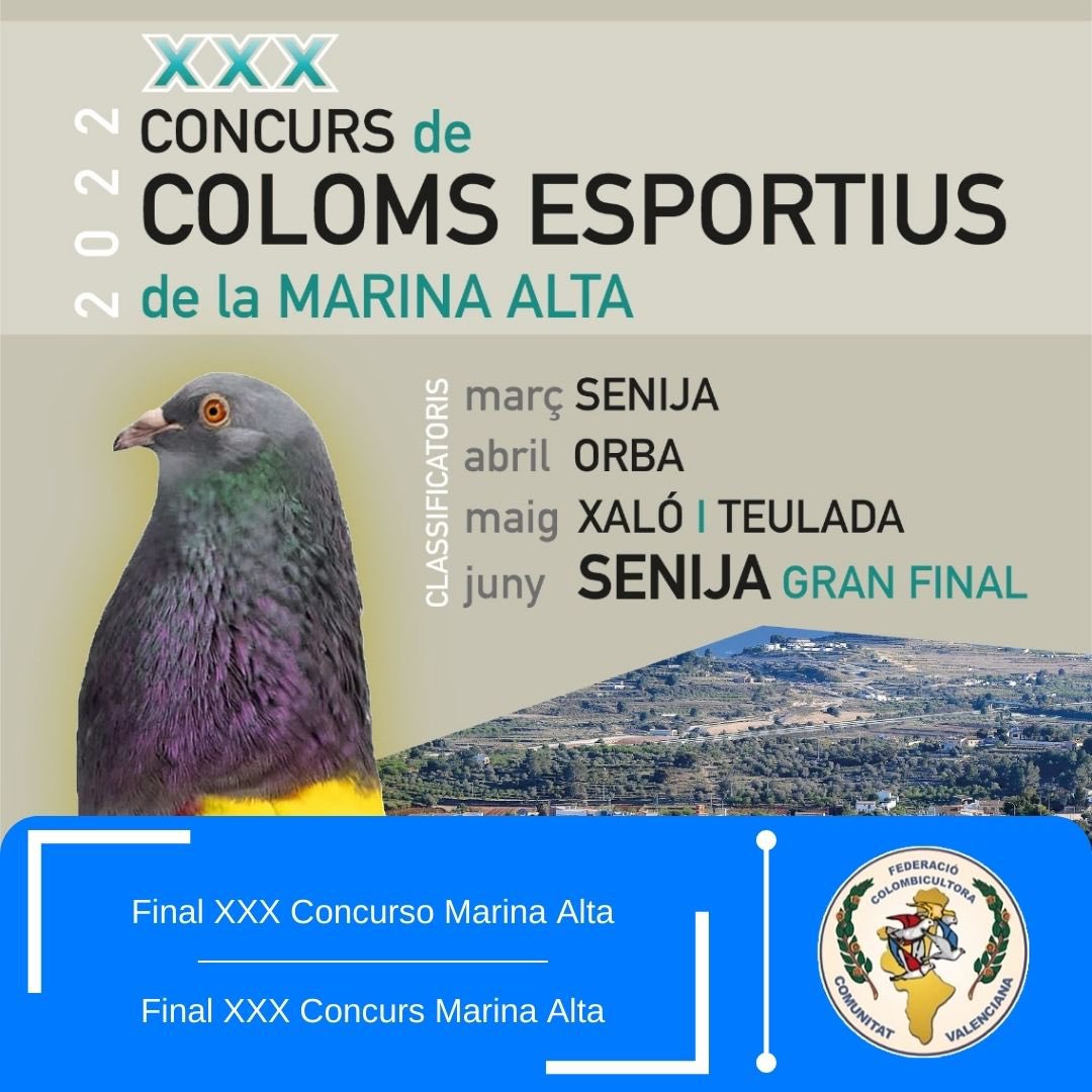 fedcolombicv's tweet photo. Empieza la final del XXX Concurso de palomos deportivos de la Marina Alta.

——

Comença la final del XXX Concurs de coloms esportius de la Marina Alta.

https://t.co/NxWsdx5eDc https://t.co/fnpSNySVnB