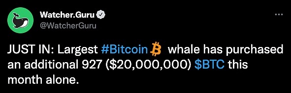 BitduExchange's tweet image. Data: Largest BTC Whale Purchased 927 BTC This Month

The largest bitcoin whale purchased 927 BTC (about $20,000,000) this month, according to a tweet from Watcher.Guru.
