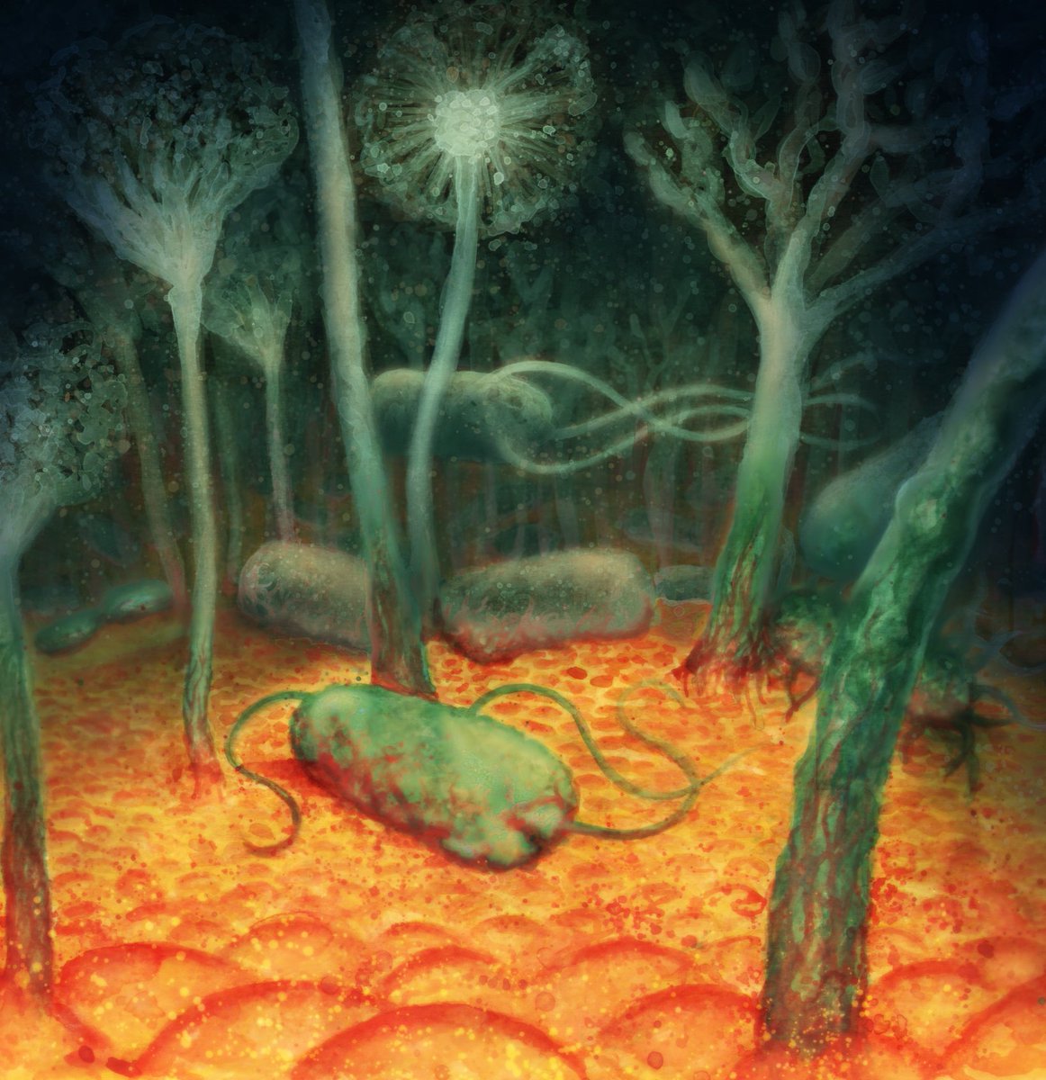 @eliza_coli - see campsite bio for other socials (@eliza_coli) on Twitter photo <a href="/iamscicomm/">@IAmSciComm - On a Break!</a> Hi! I'm Eliza coli - microbiologist turned #freelance scientific #Illustrator. I just love making the invisible visible!
I also draw weekly labrats cartoons for <a href="/ColabraHQ/">Colabra</a>, based on my time in the lab, and am working on the sci-fi <a href="/AMR_comics/">Resist NOW 💊 Open for orders now!</a> anthology.
lizawolfson.co.uk <a href="/iamscicomm/">@IAmSciComm - On a Break!</a> Hi! I'm Eliza coli - microbiologist turned #freelance scientific #Illustrator. I just love making the invisible visible!
I also draw weekly labrats cartoons for <a href="/ColabraHQ/">Colabra</a>, based on my time in the lab, and am working on the sci-fi <a href="/AMR_comics/">Resist NOW 💊 Open for orders now!</a> anthology.
lizawolfson.co.uk