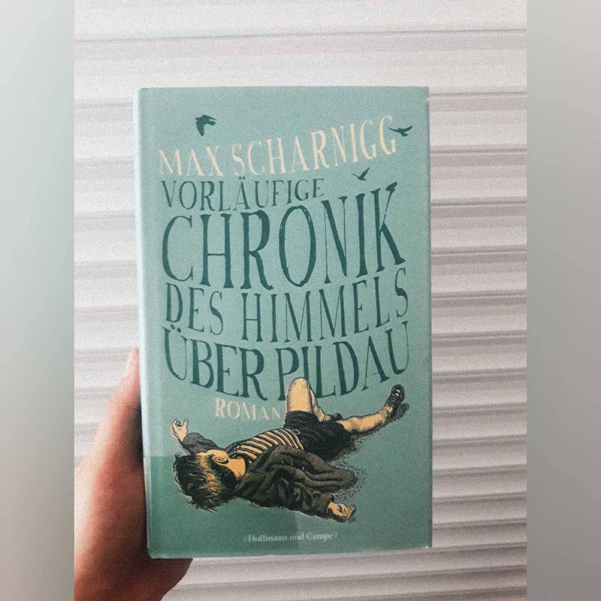 GermanaSala's tweet photo. 1️⃣6️⃣ Juni 
🦋📙 Vorläufige Chronik des Himmels über Pildau - Max Scharnigg.
#der_deutscher_lesesaal #chisinau #Juni #Roman #MaxScharnigg https://t.co/PrsnKWu0MO