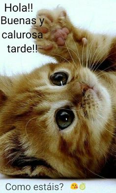 Santaber on Twitter: Santaber on Twitter: