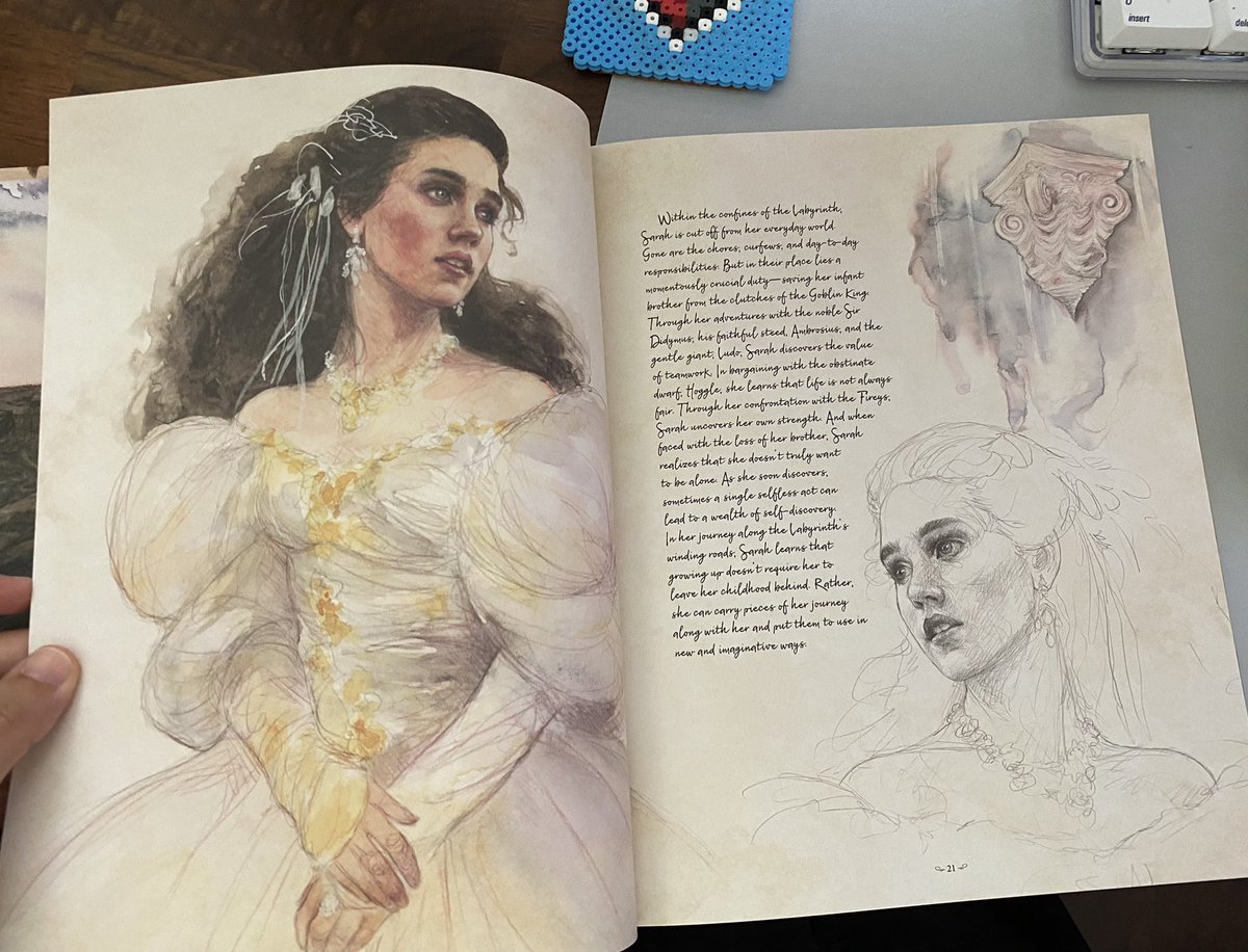 AnnInSunderland's tweet photo. Look what arrived today (and it’s not even my birthday ) #jimhenson #labyrinthbestiary with beautiful @iriscompietart illustrations 🖤 https://t.co/yqrJMLgMLU